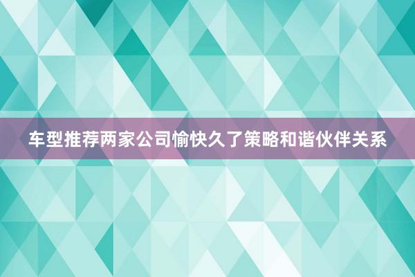 车型推荐两家公司愉快久了策略和谐伙伴关系