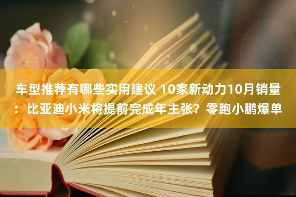 车型推荐有哪些实用建议 10家新动力10月销量：比亚迪小米将提前完成年主张？零跑小鹏爆单