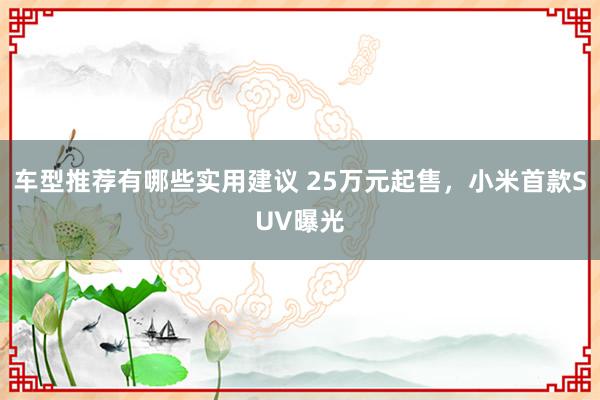 车型推荐有哪些实用建议 25万元起售，小米首款SUV曝光