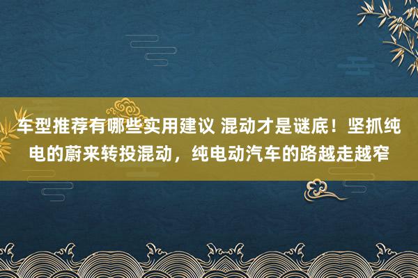 车型推荐有哪些实用建议 混动才是谜底！坚抓纯电的蔚来转投混动，纯电动汽车的路越走越窄