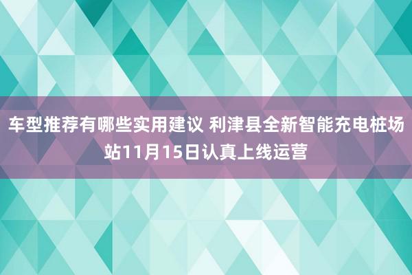 车型推荐有哪些实用建议 利津县全新智能充电桩场站11月15日认真上线运营