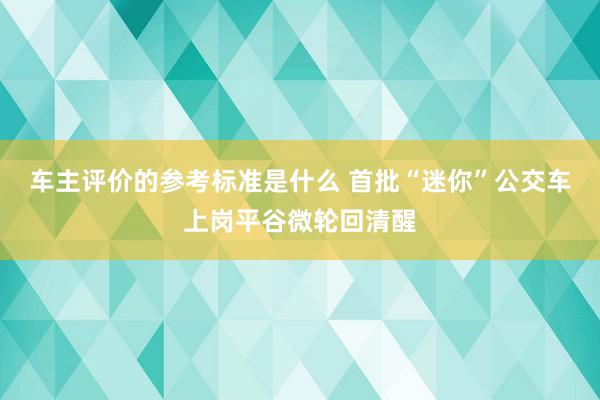 车主评价的参考标准是什么 首批“迷你”公交车上岗平谷微轮回清醒