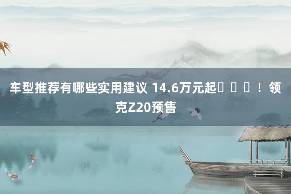 车型推荐有哪些实用建议 14.6万元起​​​！领克Z20预售