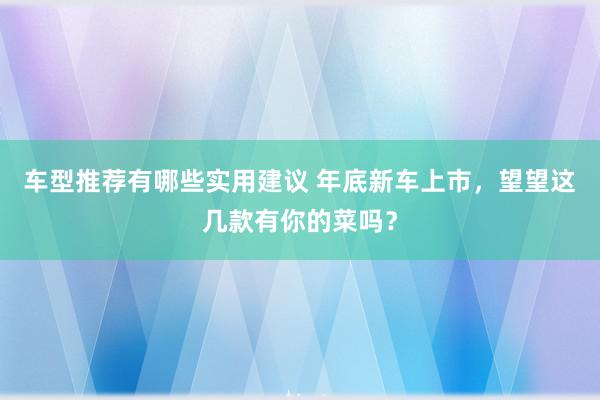 车型推荐有哪些实用建议 年底新车上市，望望这几款有你的菜吗？