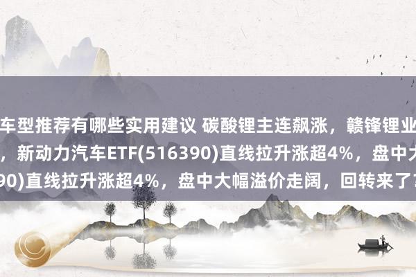 车型推荐有哪些实用建议 碳酸锂主连飙涨，赣锋锂业涨停、宁德期间涨3%，新动力汽车ETF(516390)直线拉升涨超4%，盘中大幅溢价走阔，回转来了？