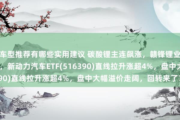 车型推荐有哪些实用建议 碳酸锂主连飙涨，赣锋锂业涨停、宁德时间涨3%，新动力汽车ETF(516390)直线拉升涨超4%，盘中大幅溢价走阔，回转来了？