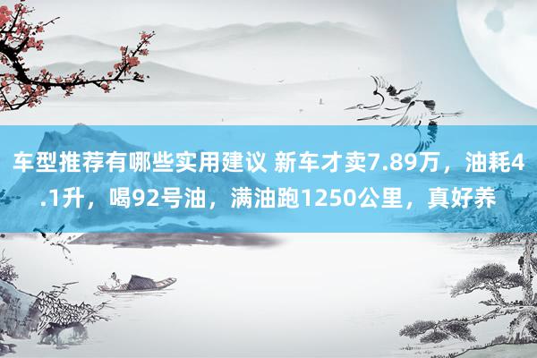 车型推荐有哪些实用建议 新车才卖7.89万，油耗4.1升，喝92号油，满油跑1250公里，真好养