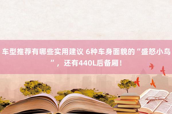 车型推荐有哪些实用建议 6种车身面貌的“盛怒小鸟”，还有440L后备厢！