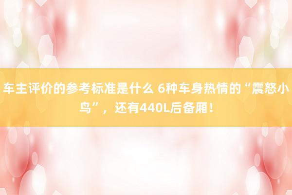 车主评价的参考标准是什么 6种车身热情的“震怒小鸟”，还有440L后备厢！