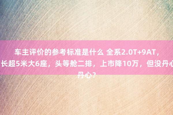 车主评价的参考标准是什么 全系2.0T+9AT，车长超5米大6座，头等舱二排，上市降10万，但没丹心？