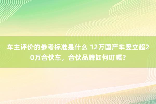 车主评价的参考标准是什么 12万国产车竖立超20万合伙车，合伙品牌如何叮嘱？