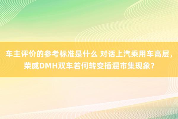 车主评价的参考标准是什么 对话上汽乘用车高层，荣威DMH双车若何转变插混市集现象？