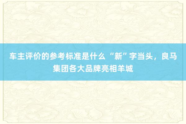 车主评价的参考标准是什么 “新”字当头，良马集团各大品牌亮相羊城