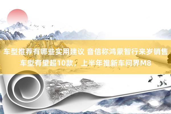 车型推荐有哪些实用建议 音信称鸿蒙智行来岁销售车型有望超10款，上半年推新车问界M8