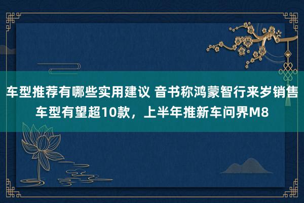 车型推荐有哪些实用建议 音书称鸿蒙智行来岁销售车型有望超10款，上半年推新车问界M8