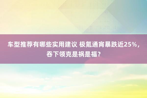 车型推荐有哪些实用建议 极氪通宵暴跌近25%，吞下领克是祸是福？