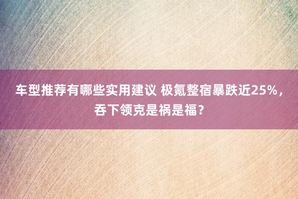 车型推荐有哪些实用建议 极氪整宿暴跌近25%，吞下领克是祸是福？