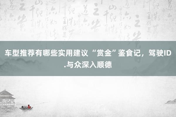 车型推荐有哪些实用建议 “赏金”鉴食记，驾驶ID.与众深入顺德