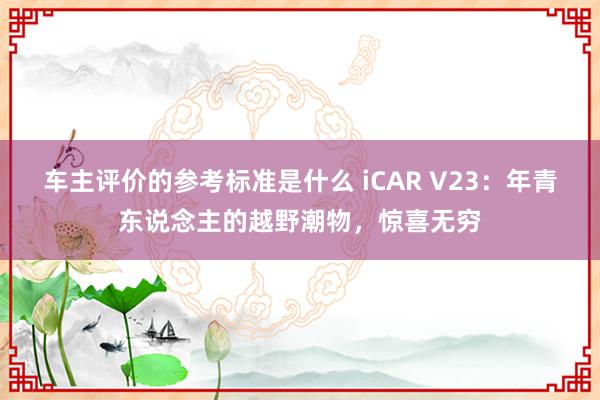 车主评价的参考标准是什么 iCAR V23：年青东说念主的越野潮物，惊喜无穷