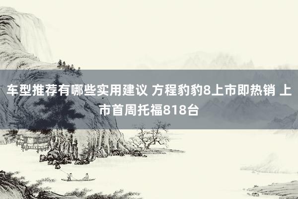 车型推荐有哪些实用建议 方程豹豹8上市即热销 上市首周托福818台