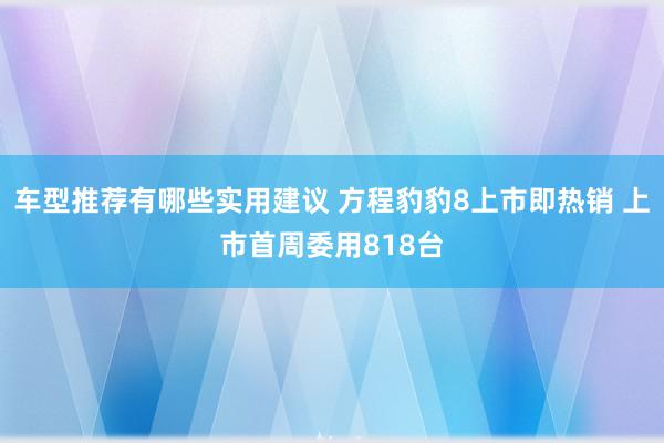 车型推荐有哪些实用建议 方程豹豹8上市即热销 上市首周委用818台