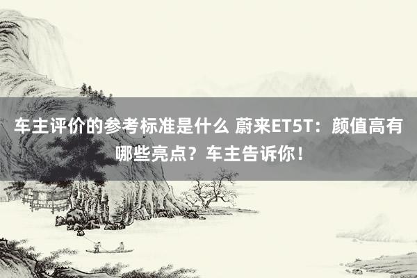 车主评价的参考标准是什么 蔚来ET5T：颜值高有哪些亮点？车主告诉你！