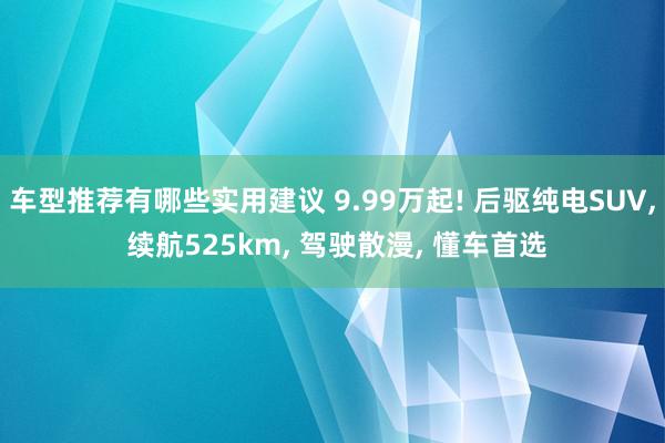 车型推荐有哪些实用建议 9.99万起! 后驱纯电SUV, 续航525km, 驾驶散漫, 懂车首选