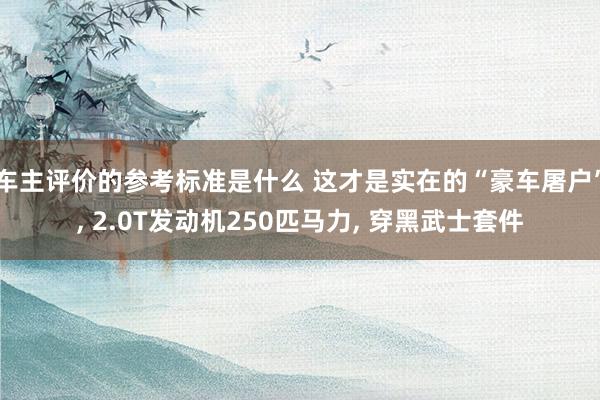 车主评价的参考标准是什么 这才是实在的“豪车屠户”, 2.0T发动机250匹马力, 穿黑武士套件