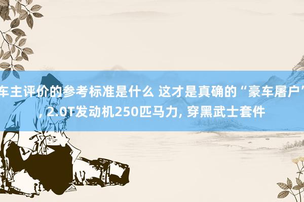 车主评价的参考标准是什么 这才是真确的“豪车屠户”, 2.0T发动机250匹马力, 穿黑武士套件