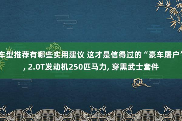 车型推荐有哪些实用建议 这才是信得过的“豪车屠户”, 2.0T发动机250匹马力, 穿黑武士套件