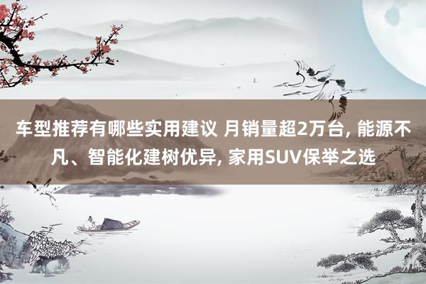 车型推荐有哪些实用建议 月销量超2万台, 能源不凡、智能化建树优异, 家用SUV保举之选