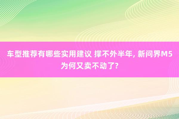 车型推荐有哪些实用建议 撑不外半年, 新问界M5为何又卖不动了?