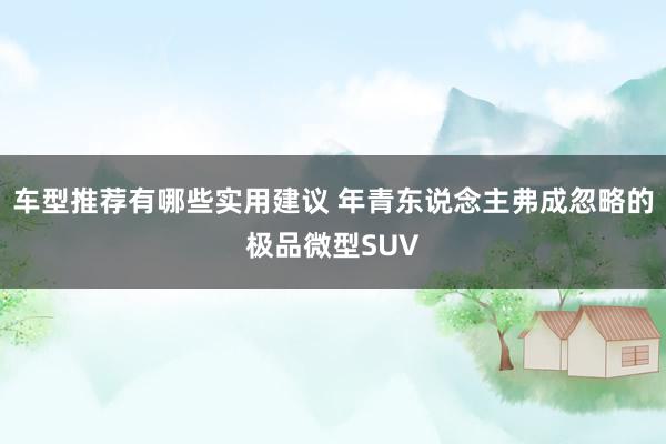 车型推荐有哪些实用建议 年青东说念主弗成忽略的极品微型SUV