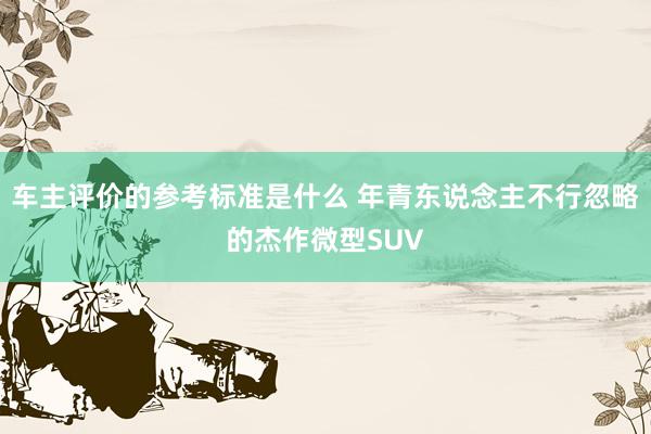 车主评价的参考标准是什么 年青东说念主不行忽略的杰作微型SUV