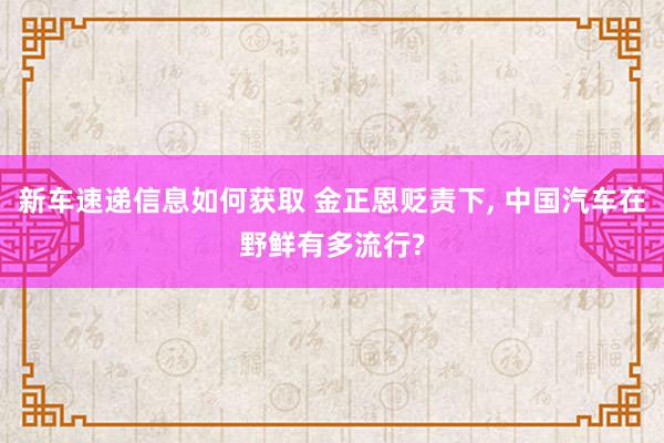 新车速递信息如何获取 金正恩贬责下, 中国汽车在野鲜有多流行?