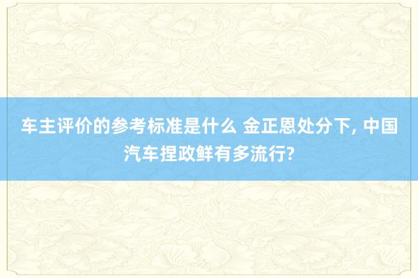 车主评价的参考标准是什么 金正恩处分下, 中国汽车捏政鲜有多流行?