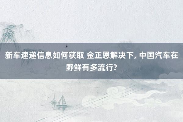 新车速递信息如何获取 金正恩解决下, 中国汽车在野鲜有多流行?