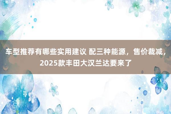 车型推荐有哪些实用建议 配三种能源，售价裁减，2025款丰田大汉兰达要来了