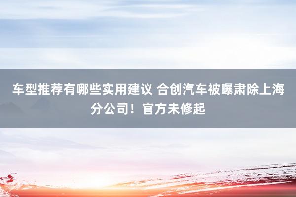 车型推荐有哪些实用建议 合创汽车被曝肃除上海分公司！官方未修起