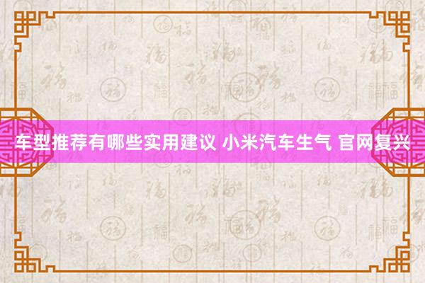 车型推荐有哪些实用建议 小米汽车生气 官网复兴