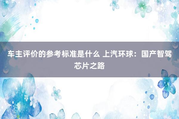 车主评价的参考标准是什么 上汽环球：国产智驾芯片之路