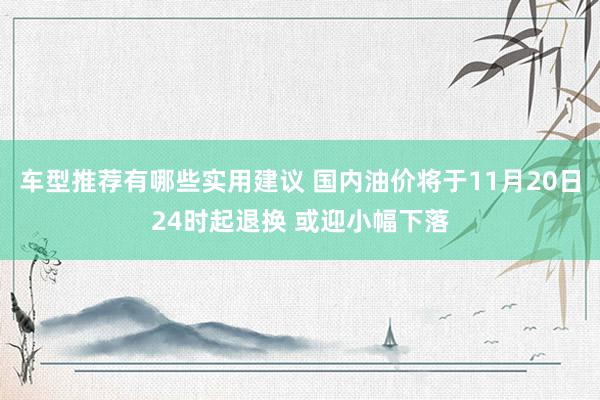 车型推荐有哪些实用建议 国内油价将于11月20日24时起退换 或迎小幅下落