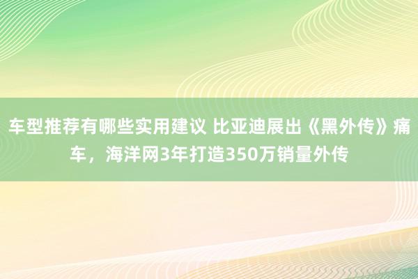 车型推荐有哪些实用建议 比亚迪展出《黑外传》痛车，海洋网3年打造350万销量外传