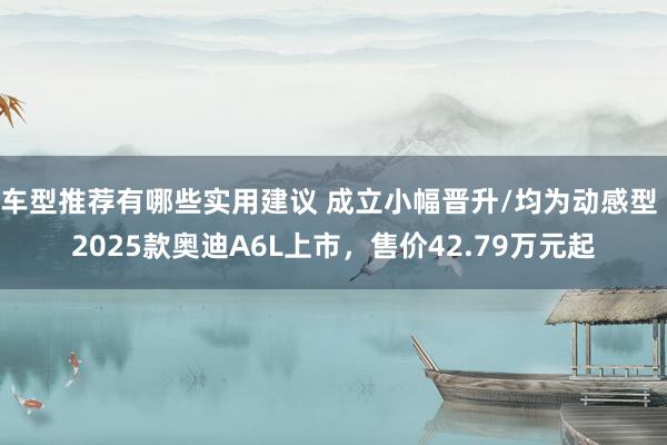 车型推荐有哪些实用建议 成立小幅晋升/均为动感型 2025款奥迪A6L上市，售价42.79万元起