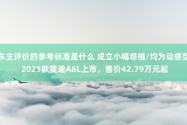 车主评价的参考标准是什么 成立小幅培植/均为动感型 2025款奥迪A6L上市，售价42.79万元起